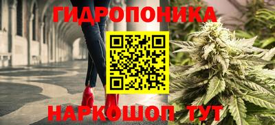 молекула духа Ливны