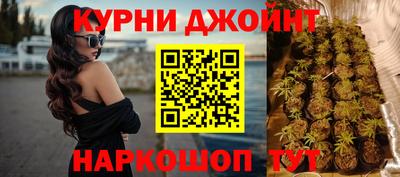 гидра Лесосибирск