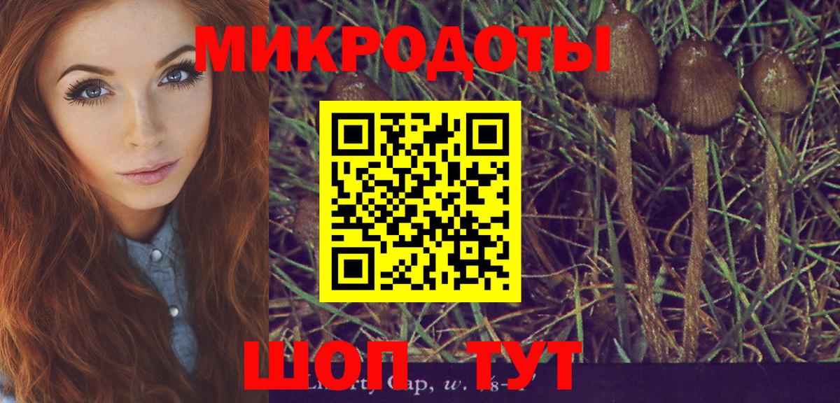 Заводоуковск  Псилоцибиновые грибы Psilocybe  Вход с VPN 